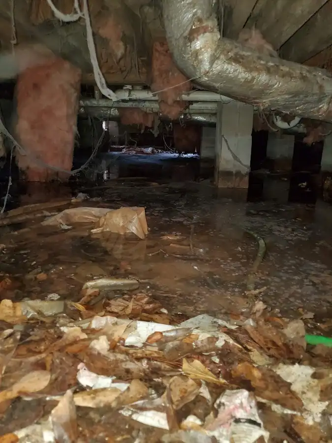 Crawl space flood assessment for Leak Detection & Repair in Los Fresnos