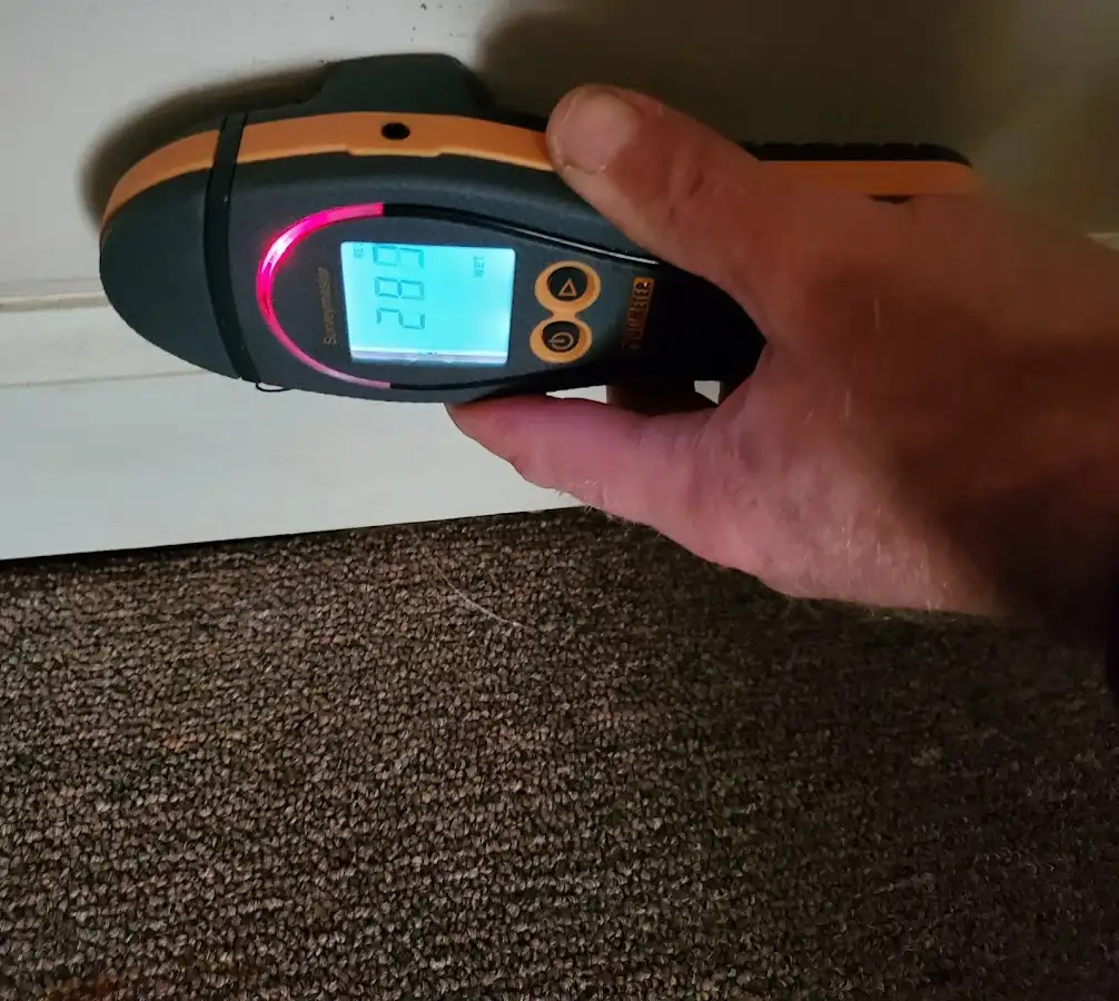 Moisture detection at baseboard during Burst Pipe Cleanup in Los Fresnos