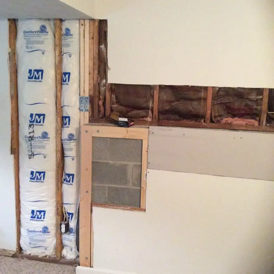 Wall insulation replacement during Basement Flood Cleanup in Los Fresnos